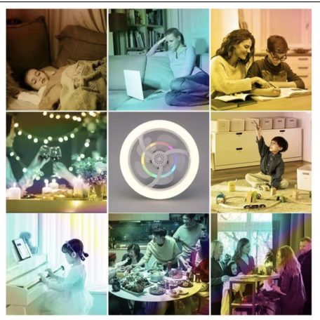 VENTILÁTOR LÁMPA, REFLEKTORFÉNYBEN, 50W