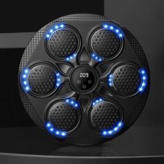   Intelligens zenés box gép, 2db kesztyű, 42cm átmérő, felnőtteknek és gyerekeknek